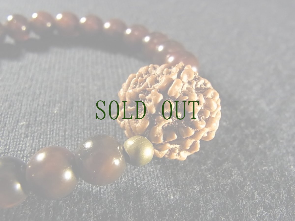 画像2: 6ムキ(六面)ルドラクシャ(金剛菩提樹)とアンデシン(血珠)のブレスレット　（8mm玉） (2)