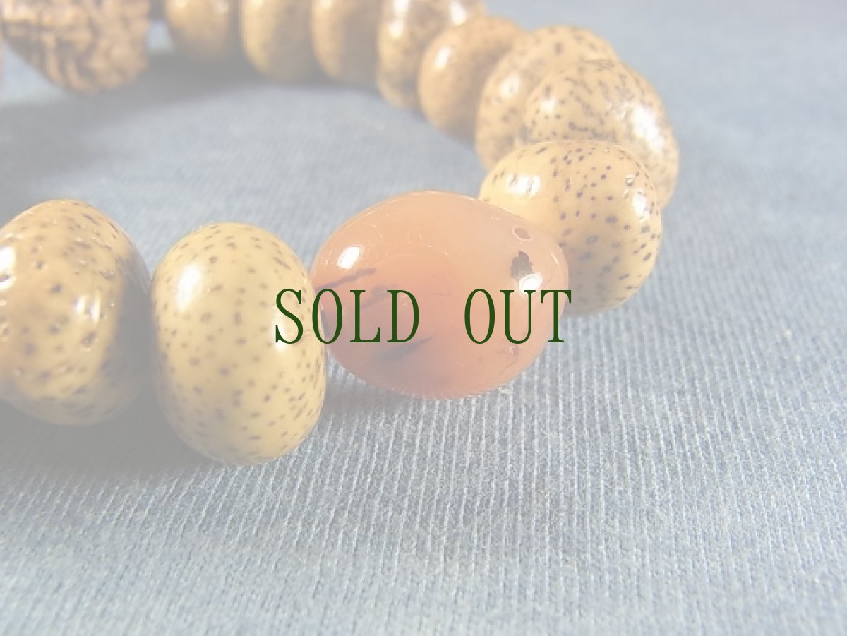 画像4: 六面金剛菩提樹(ルドラクシャ)とペマラカ、縞星月菩提樹の念珠　 (4)