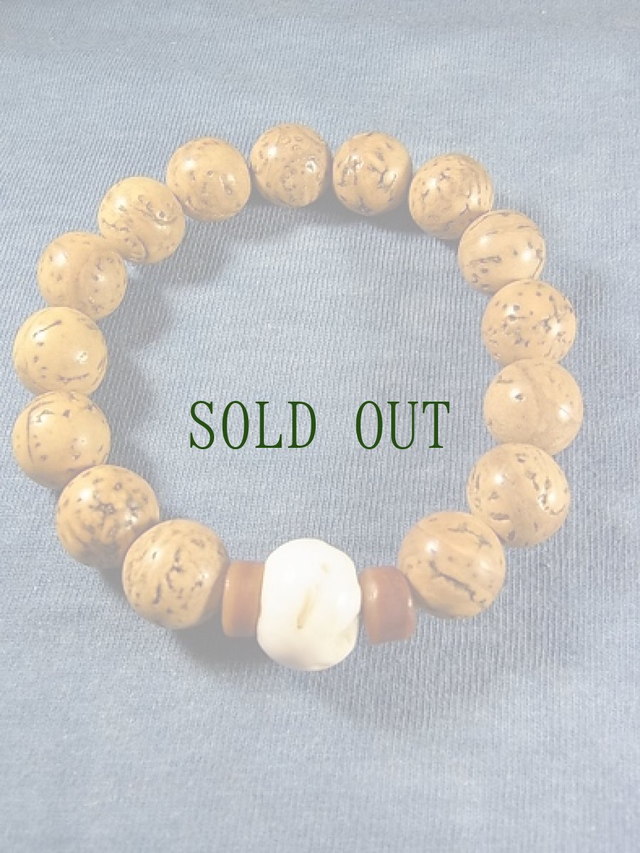 画像5: シャンカ（チベット法螺貝)と龍眼菩提樹のブレスレット　 (5)