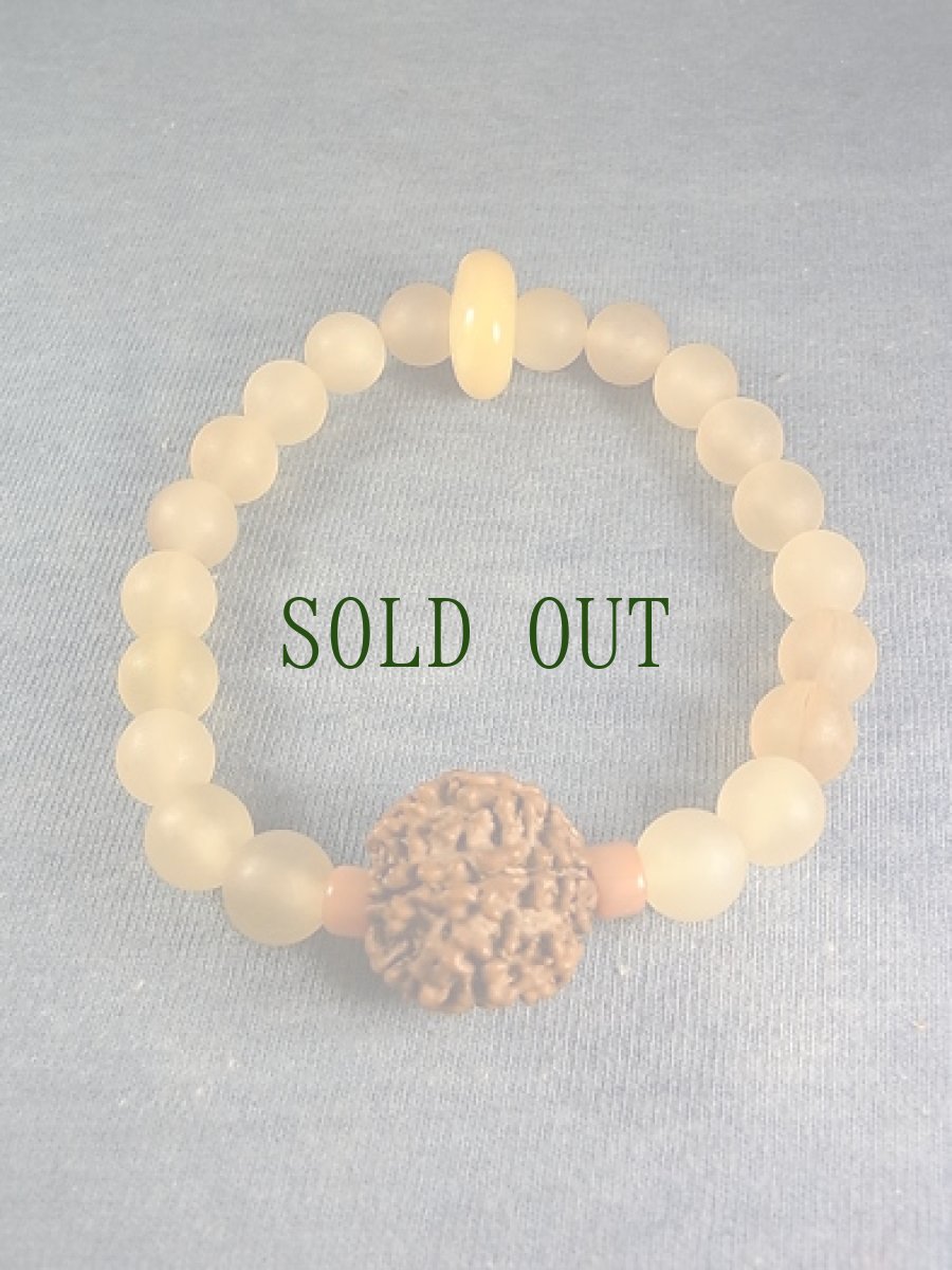 画像5: チベットガゼル（羚羊角）と６ムキ・ルドラクシャ、チベットアンバー（蜜蝋）のブレスレット (5)