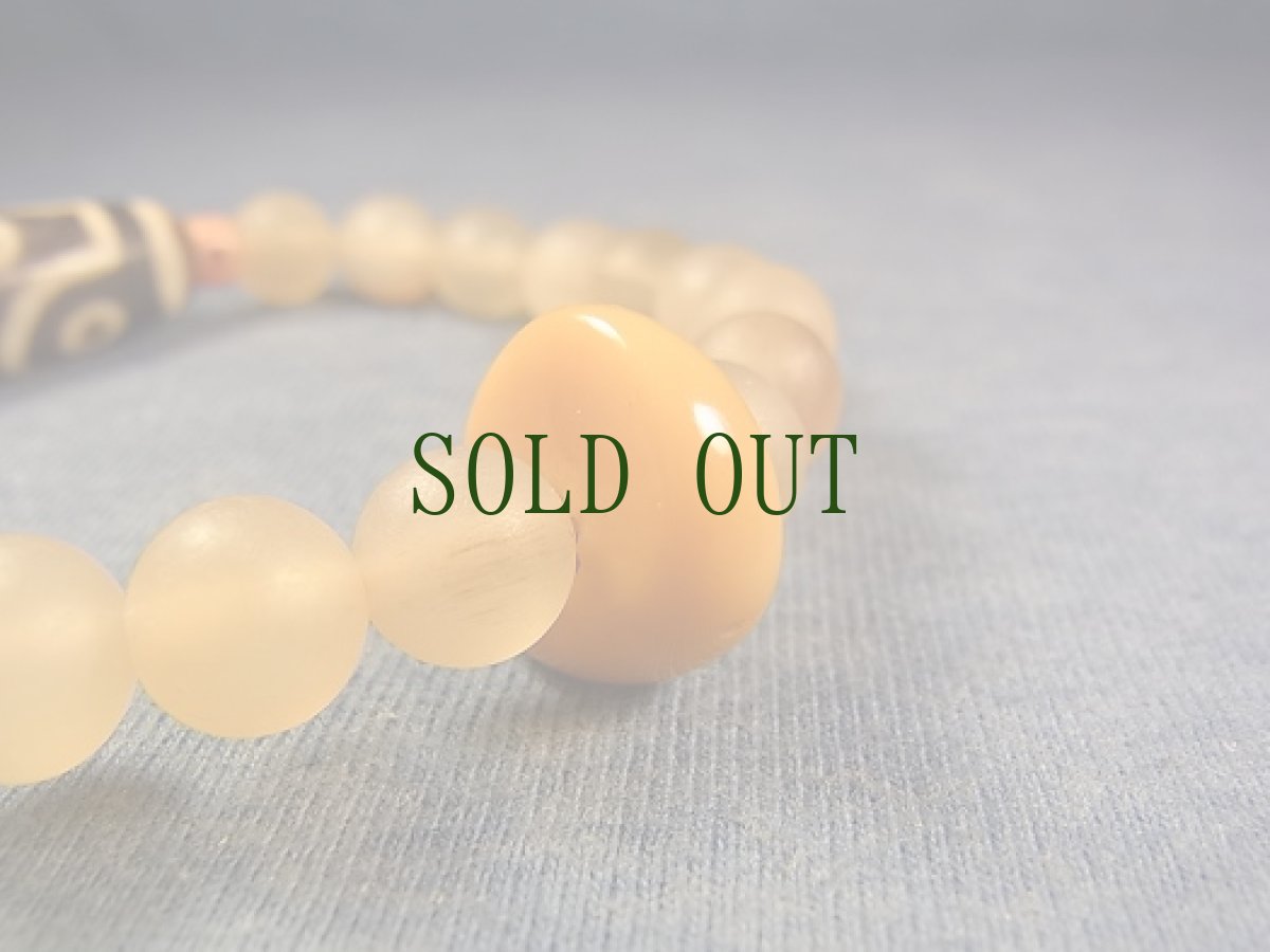 画像5: ジービーズ(八眼天珠)とチベットガゼル（羚羊角）のブレスレット (5)