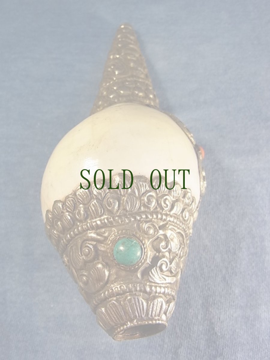 画像3: トゥンカル　(チベットの法螺貝・シャンカ ) (3)