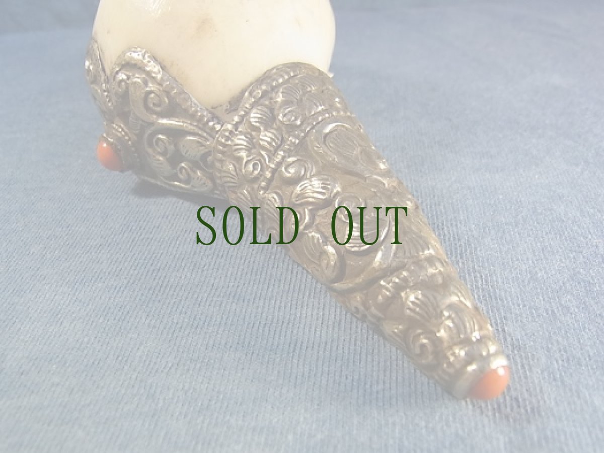 画像5: トゥンカル　(チベットの法螺貝・シャンカ ) (5)