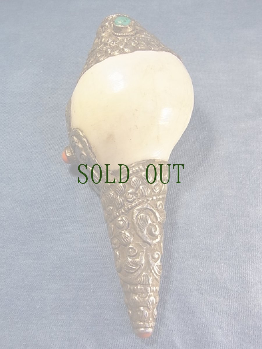 画像4: トゥンカル　(チベットの法螺貝・シャンカ ) (4)