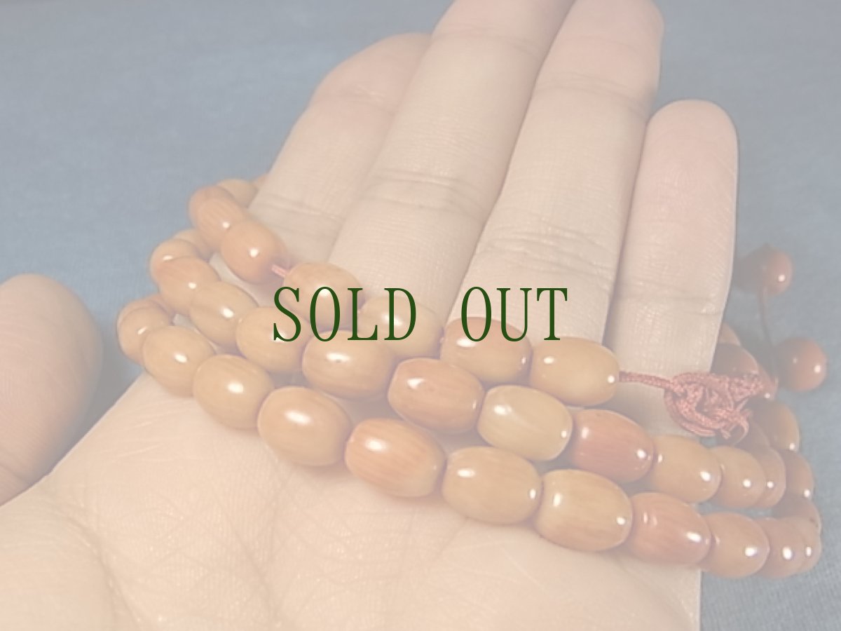 画像8: 珊瑚のネックレス　(チベタンコーラル ) (8)