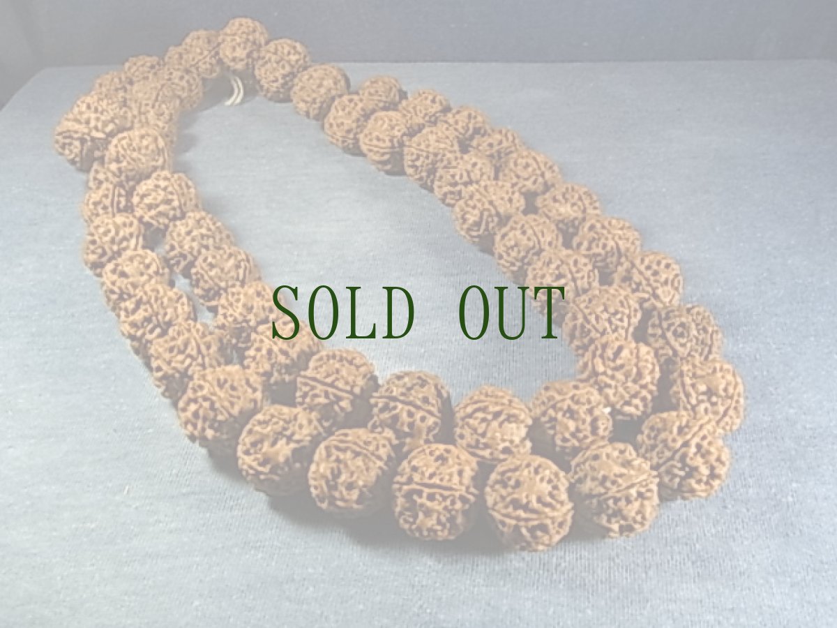 画像2: 金剛菩提樹の念珠首飾り　ンガッパ（チベット密教行者）用 (2)