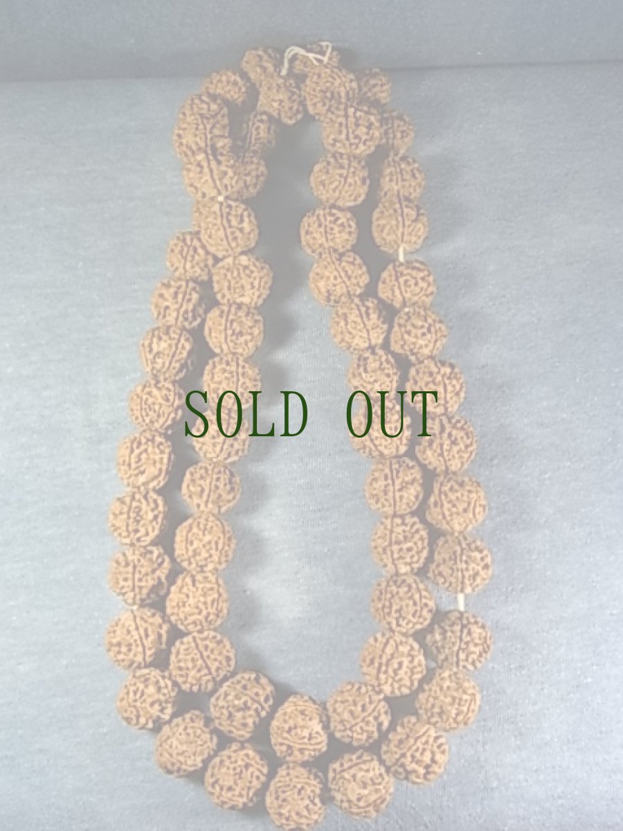 画像3: 金剛菩提樹の念珠首飾り　ンガッパ（チベット密教行者）用 (3)