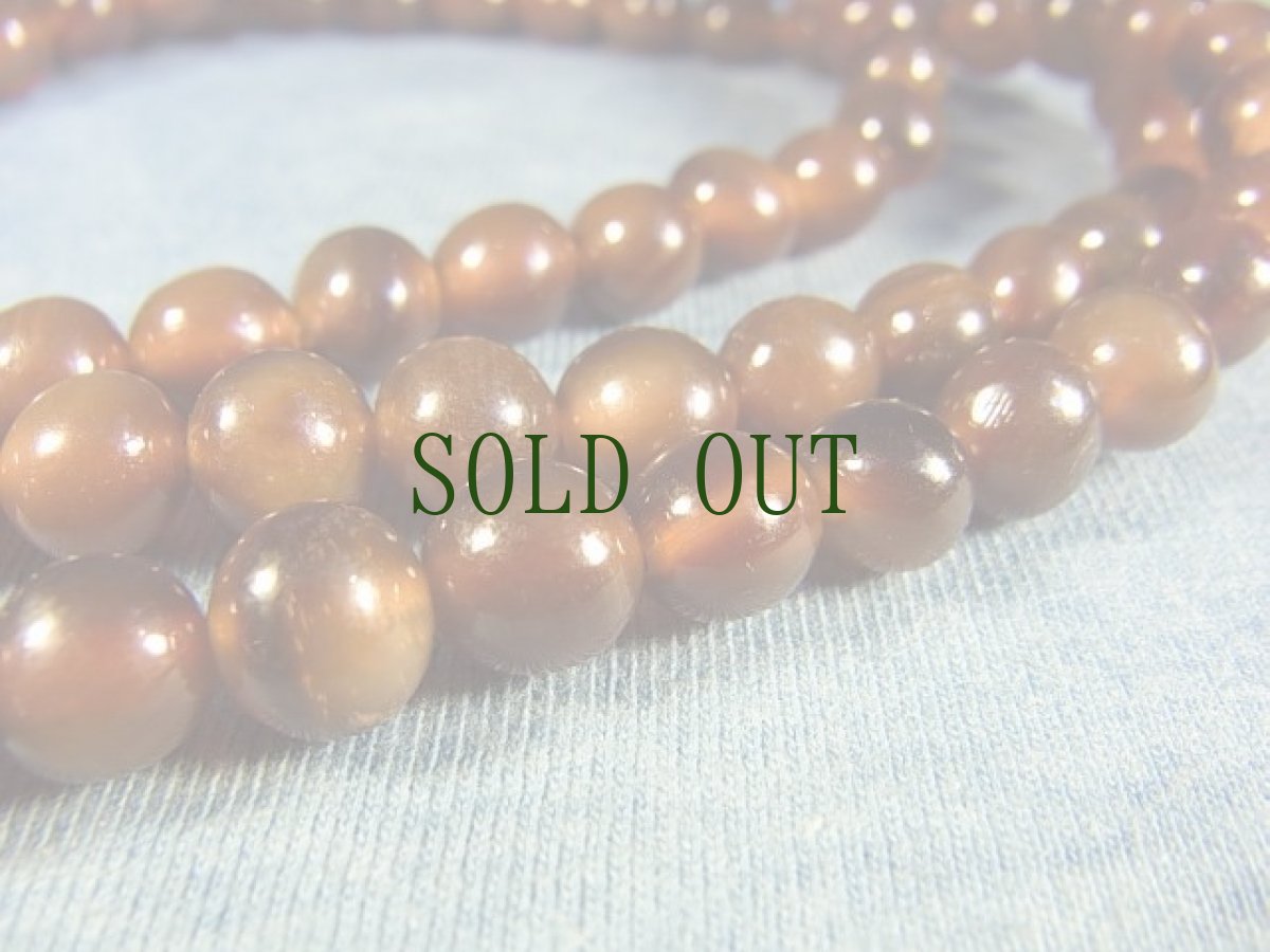 画像5: 越南老山龟(ヤマガメ)の108玉念珠　 (5)