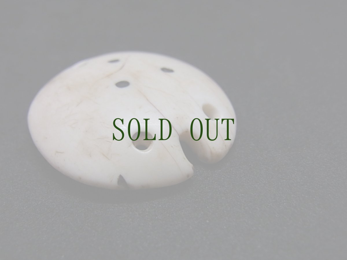 画像4: チベット仏教の七宝　シャンカ（硨磲）の飾り　アンティーク (4)