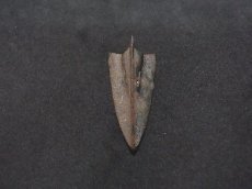 画像1: オルドス青銅器　(arrowhead)  鏃（矢じり） (1)