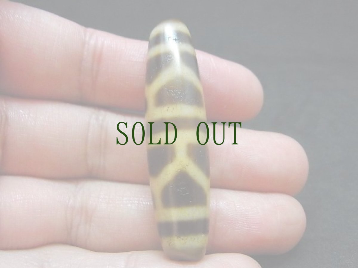 画像6: ジービーズ　亀甲紋天珠　(長寿天珠)　 (6)