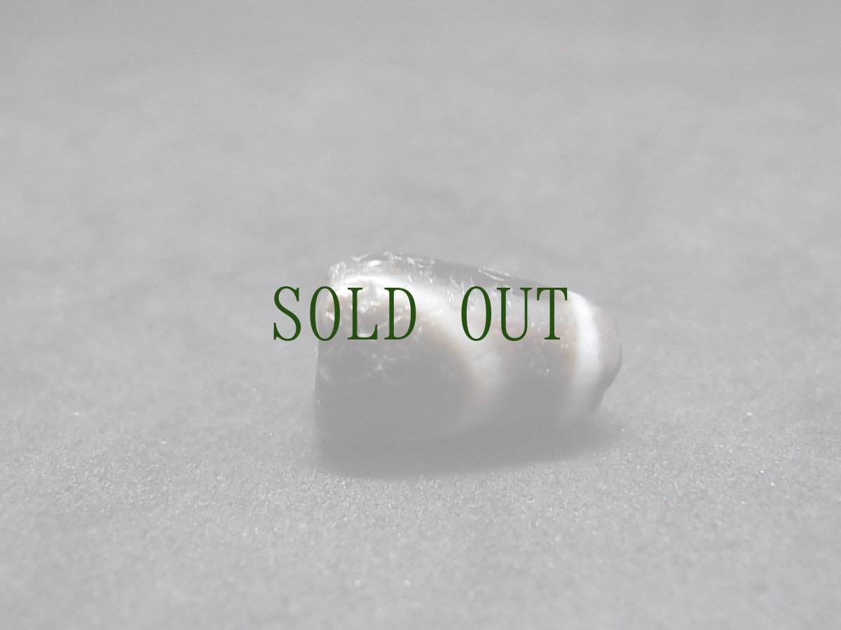 画像2: ジービーズ　ドルジェ　１アイ(old dzi mig chig pa wtih dorje motif)　チベット金剛一眼天珠 (2)