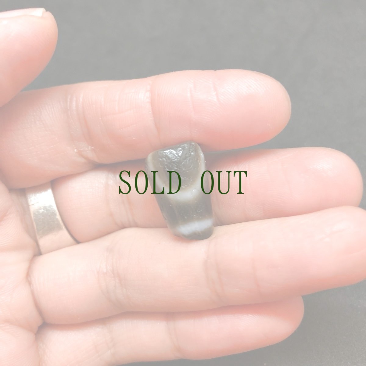 画像9: ジービーズ　ドルジェ　１アイ(old dzi mig chig pa wtih dorje motif)　チベット金剛一眼天珠 (9)