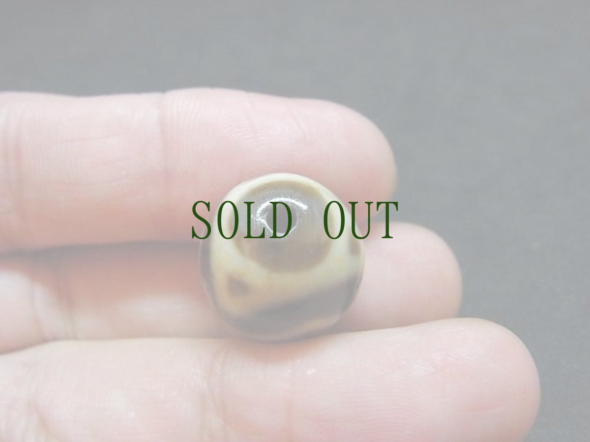 画像5: ジービーズ(dzi mig du pa with  wave motif) 水紋六眼天珠（虎牙）  (5)