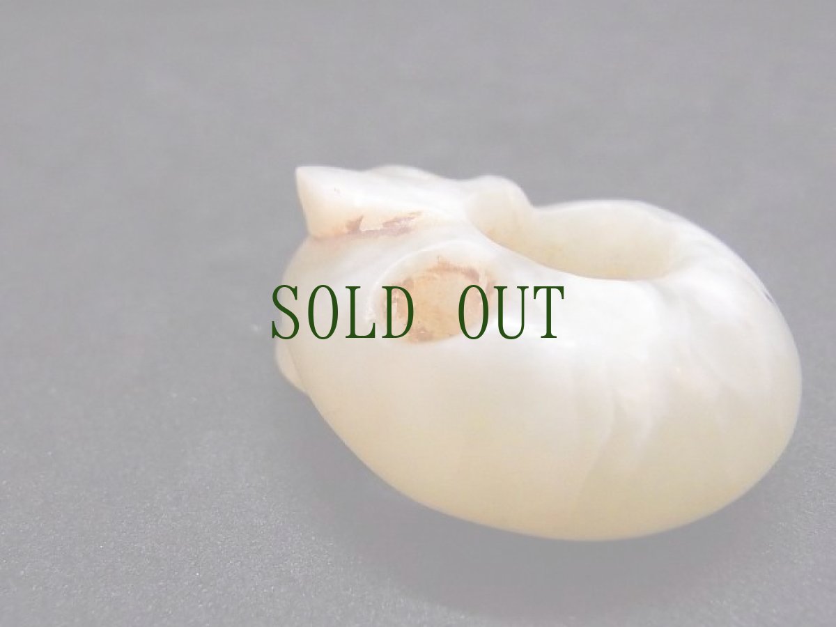 画像4: 玦状獣形垂玉　玉製猪龍（紅山文化） (4)