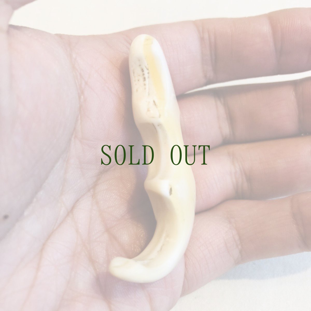 画像6: シャンカの御守り（白い貝・七宝）チベット密教　（マニ車の緩衝材） アンティーク　 (6)