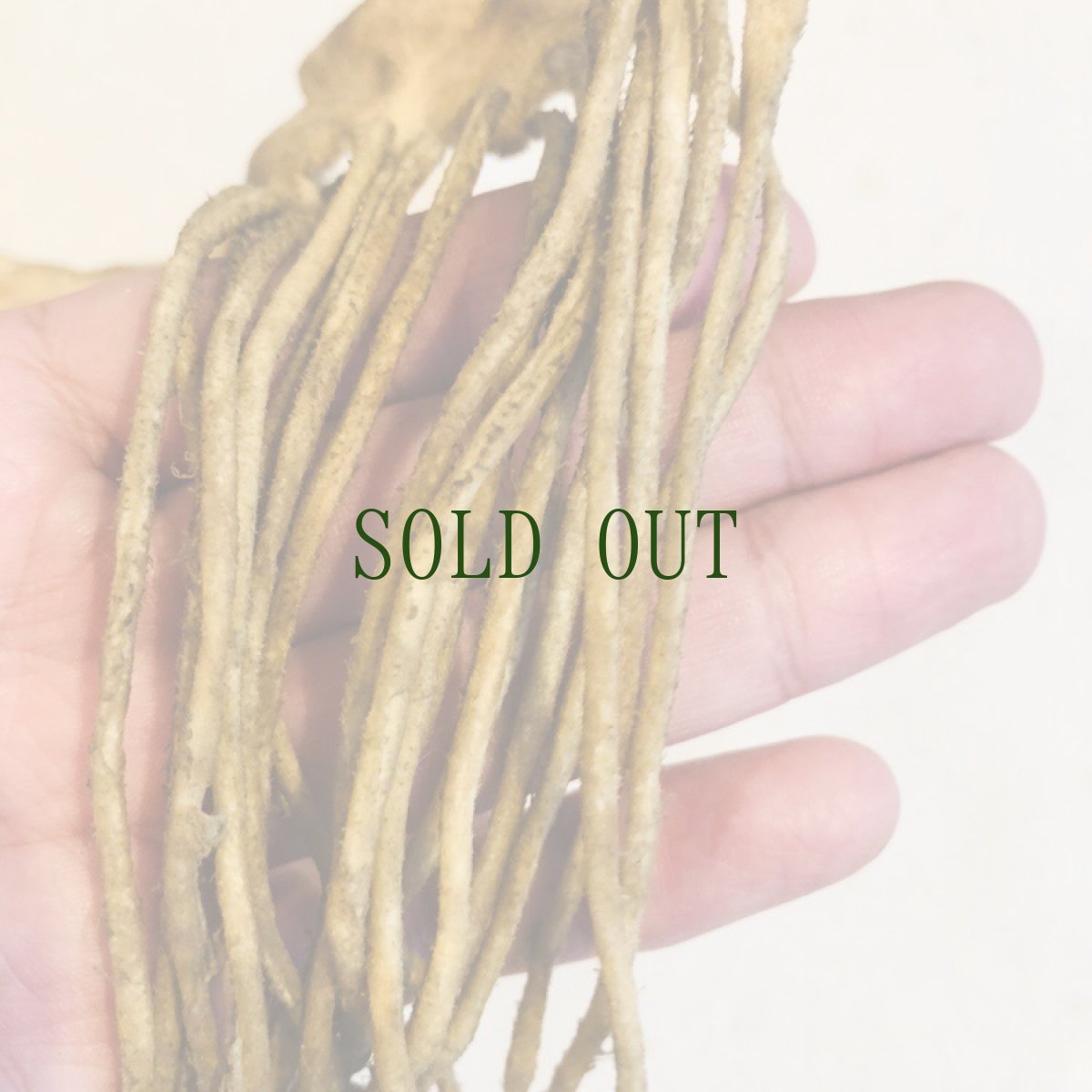 画像4: チベットの革紐　まとめ売り　19本 (4)