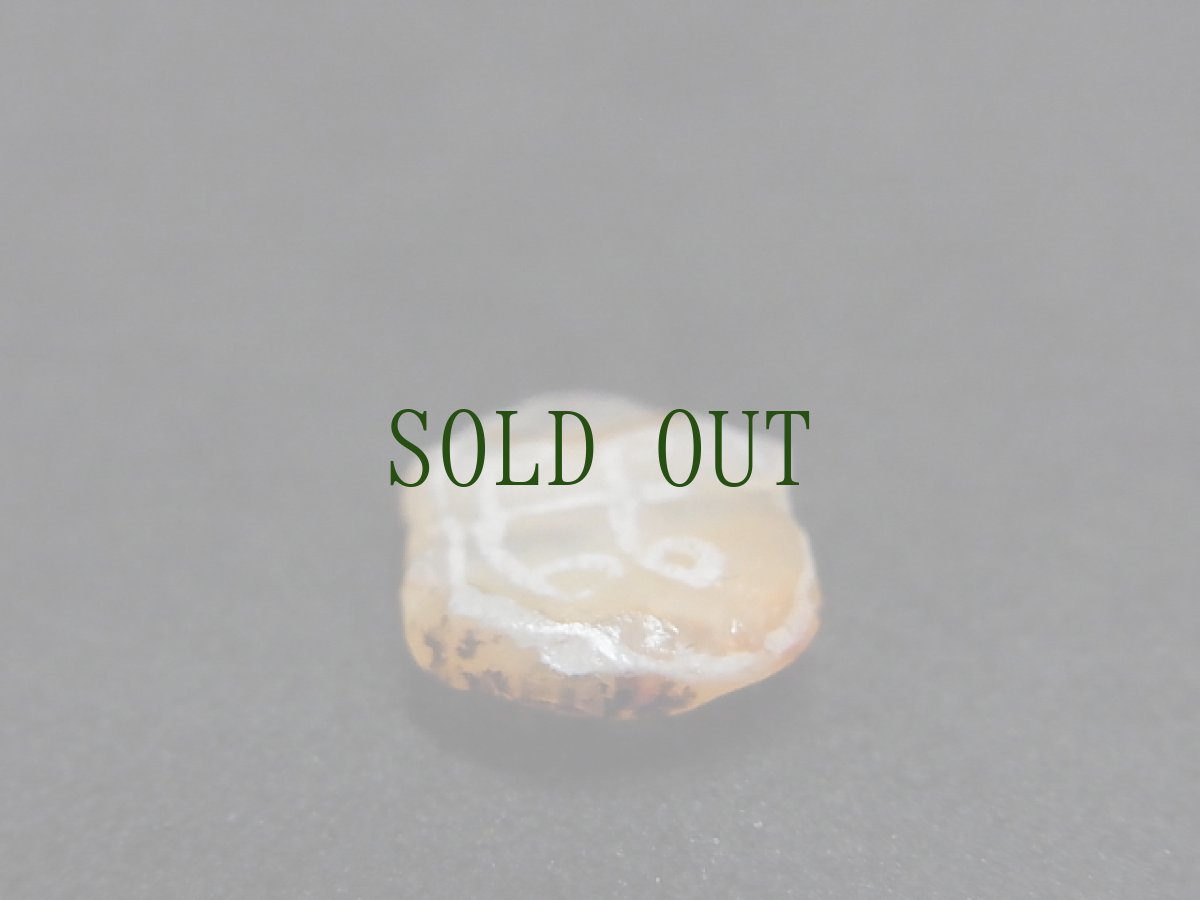 画像4: 古代エッチドカーネリアン（インダス文明）　ユグドラシル（生命の樹、世界樹） (4)