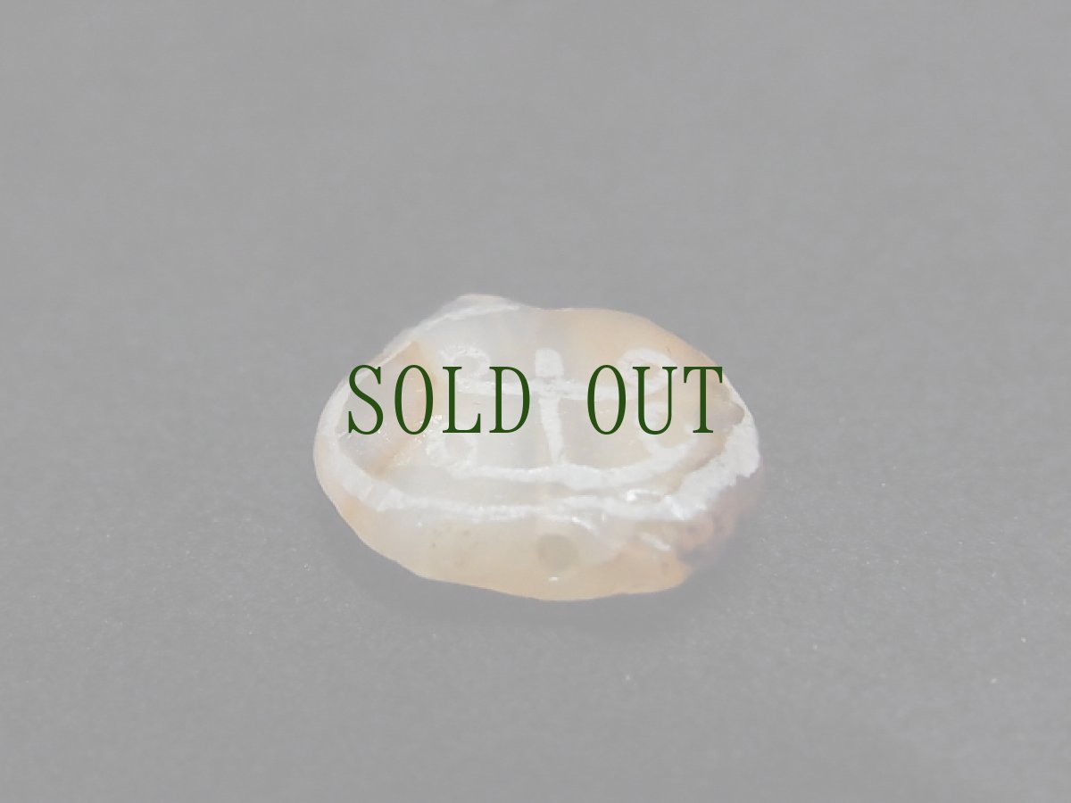 画像3: 古代エッチドカーネリアン（インダス文明）　ユグドラシル（生命の樹、世界樹） (3)