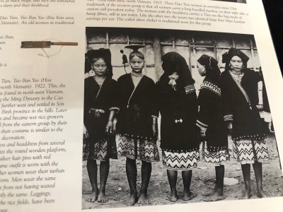 画像2: ザオティエン族スカート（Dao tien people‘ｓ tribal skirt）ミエン・コインザオ・ヤオ族（越南瑶銭族）
