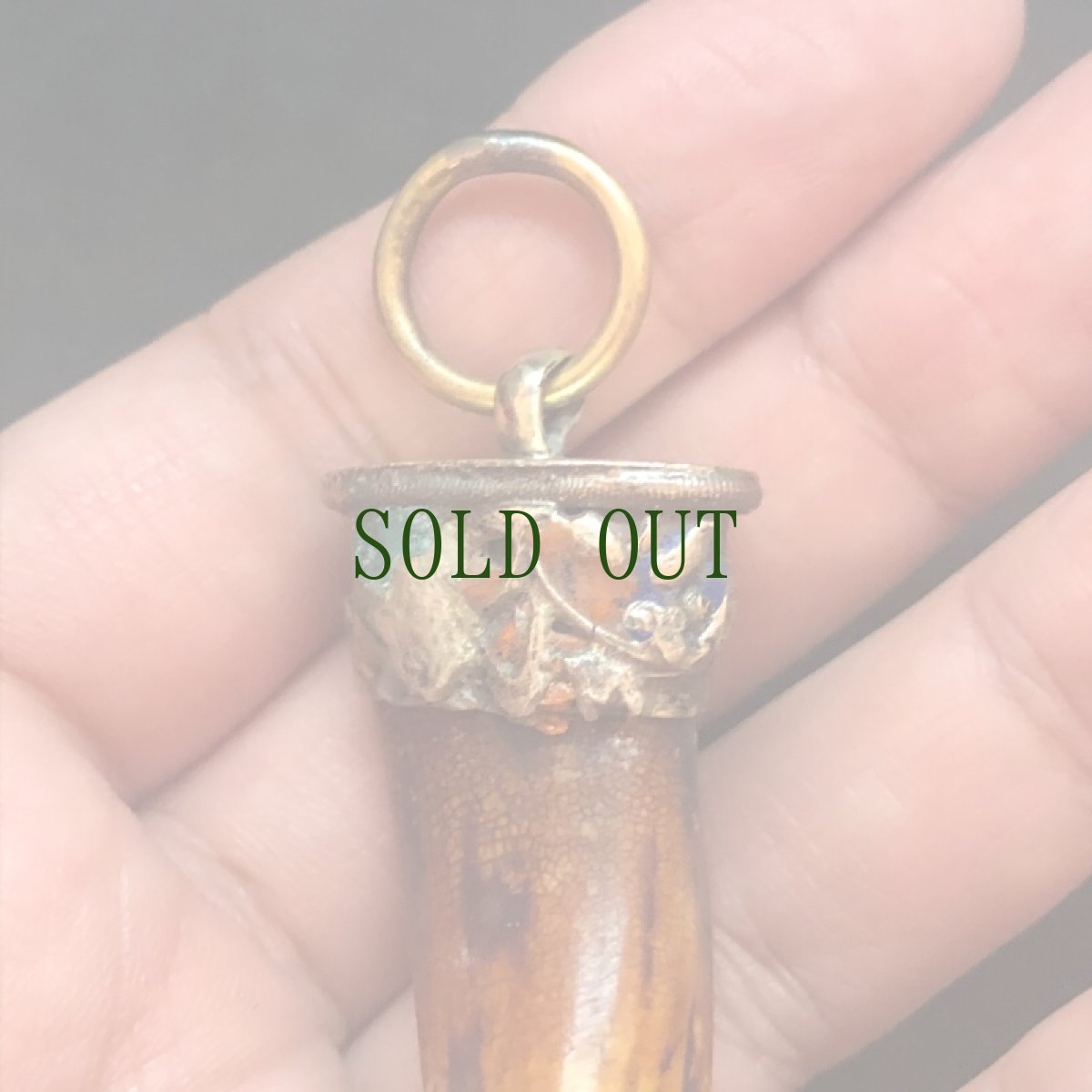 画像6: 猪牙のペンダントトップ　（チベット） (6)