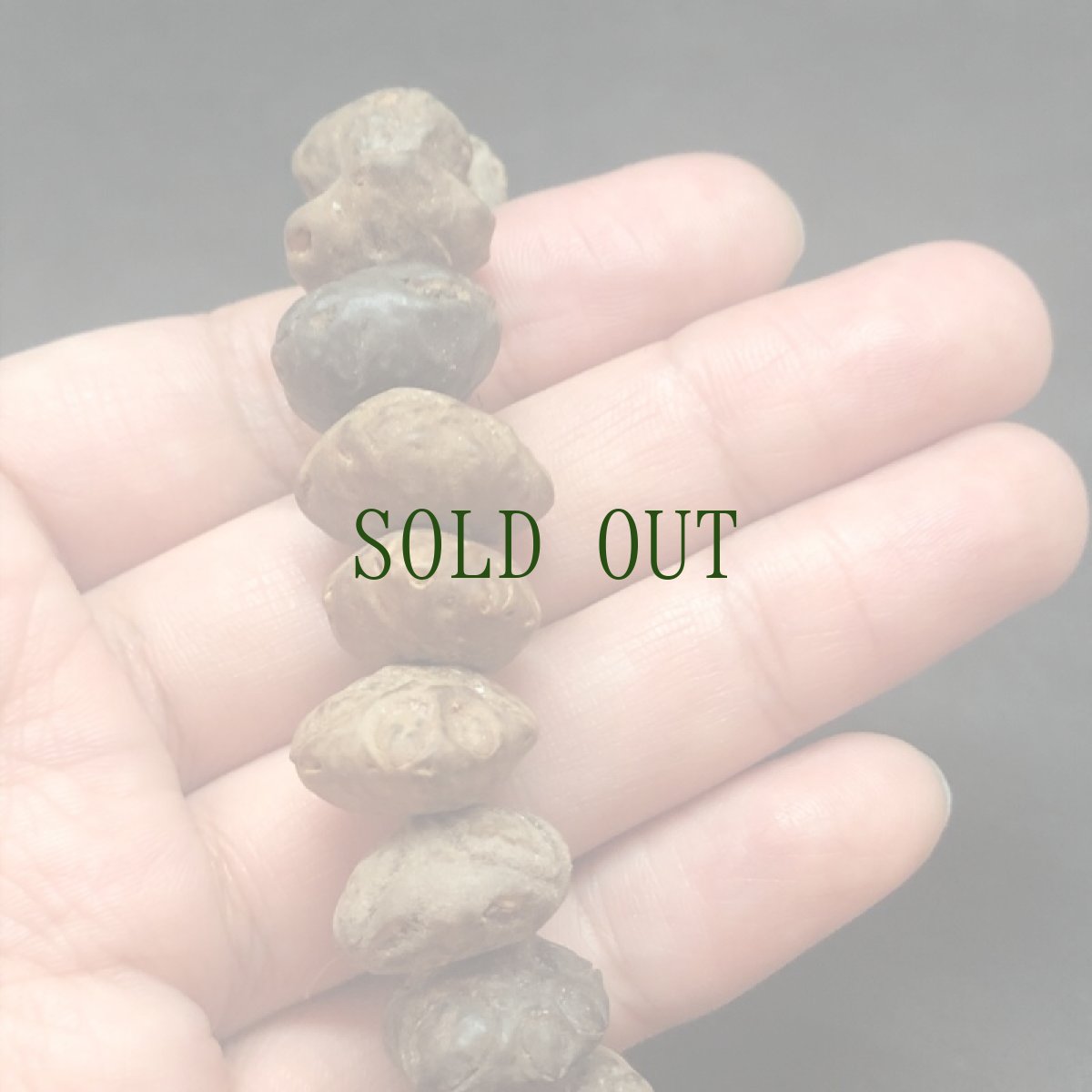 画像6: 鬼顔菩提樹と虎琥珀、老山亀珠のブレスレット (6)