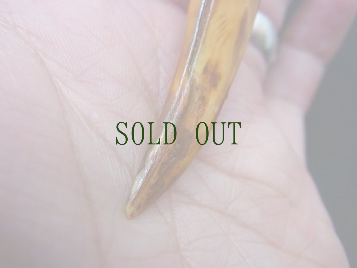 画像7: チベタン天然ターコイズ(yu)と野猪の牙の首飾り （tibetan natural turquoise）  (7)