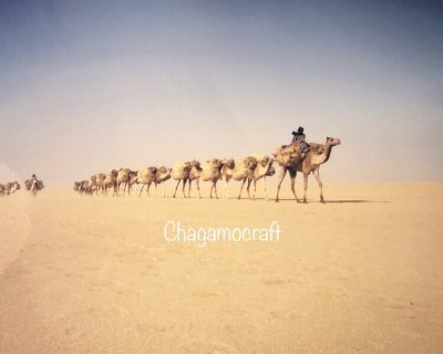 画像2: トゥアレグ族（tuareg）のレザーピロー（サハラ砂漠・ニジェール）118×38cm