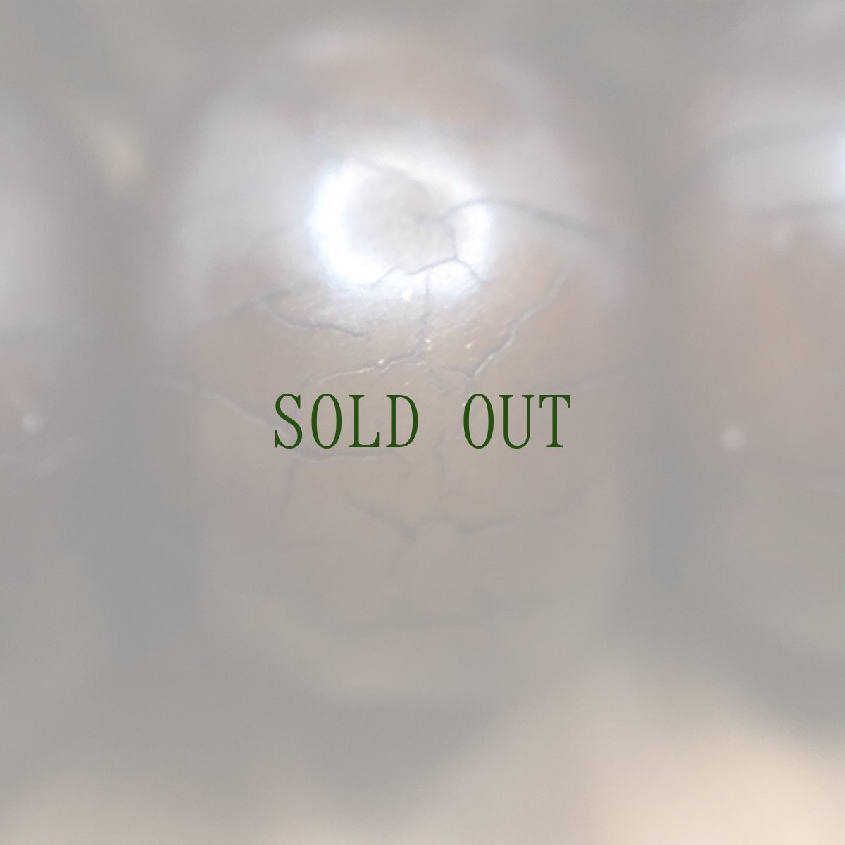 画像10: 菩提根と銀製マーカーのチベット念珠（Tibetan old bodhi roots mala）　東チベット (10)