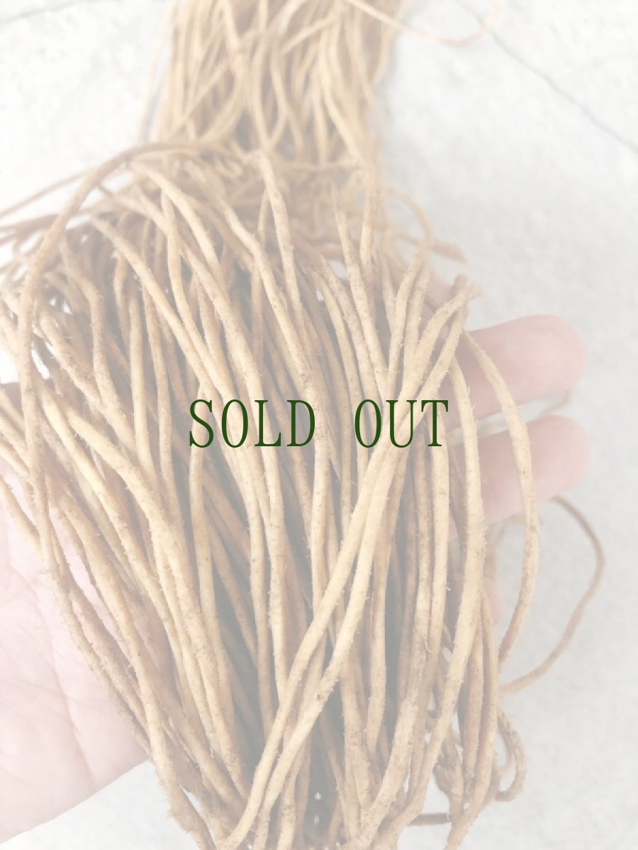 画像6: チベット　ヤクの革紐　1本売り（切り売り）　うす茶色 (6)