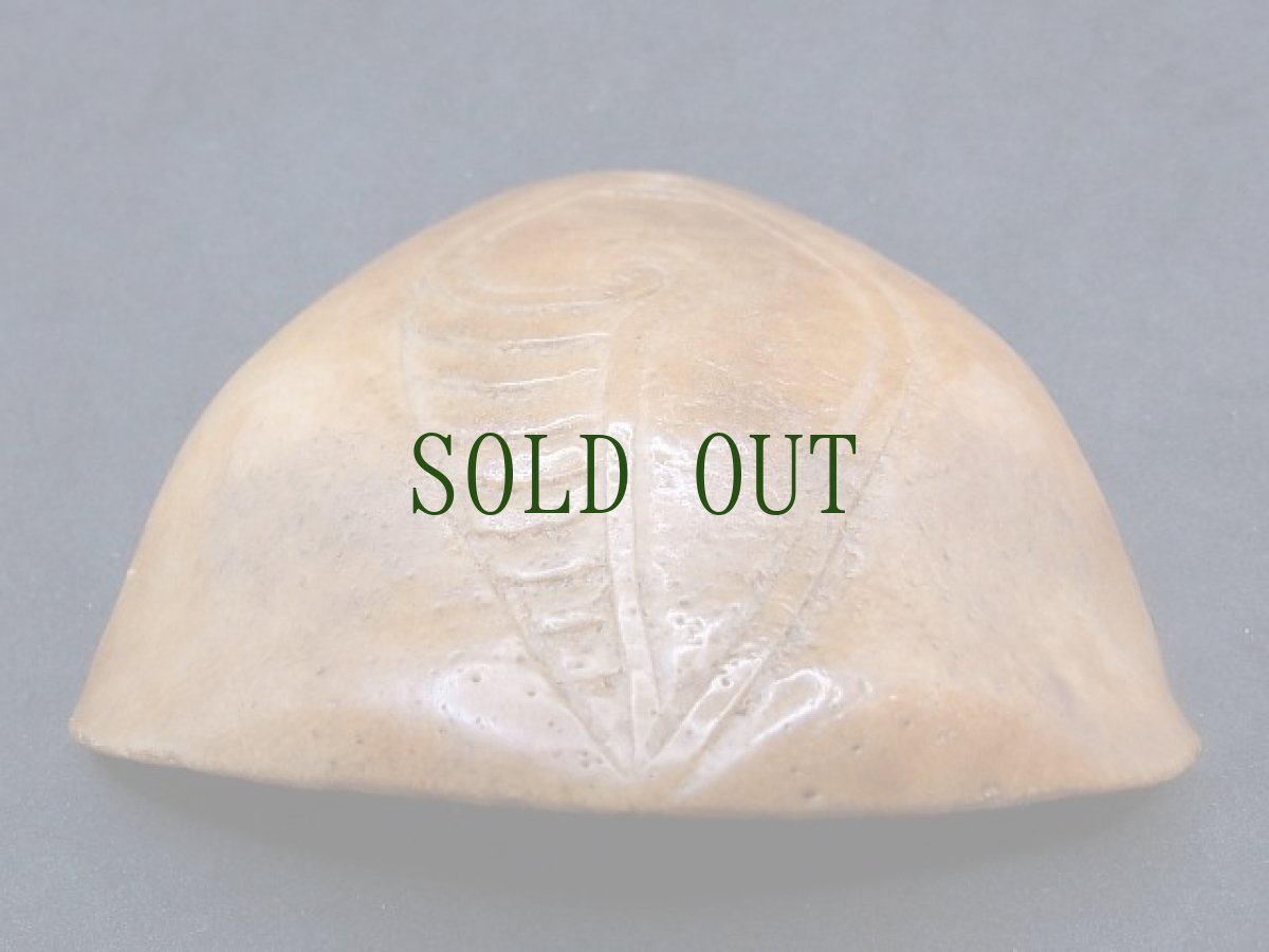 画像2: カパラの根付　シャンカ・七宝　(tibetan old kapala )　チベット密教法具・数珠飾り (2)