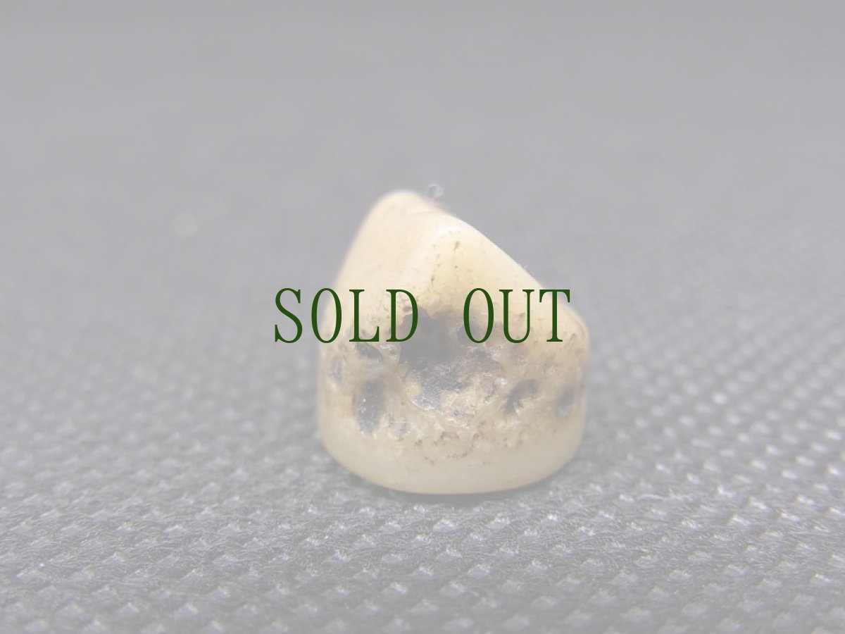 画像4: カパラの根付　(tibetan old kapala )　眉心骨・数珠玉 (4)