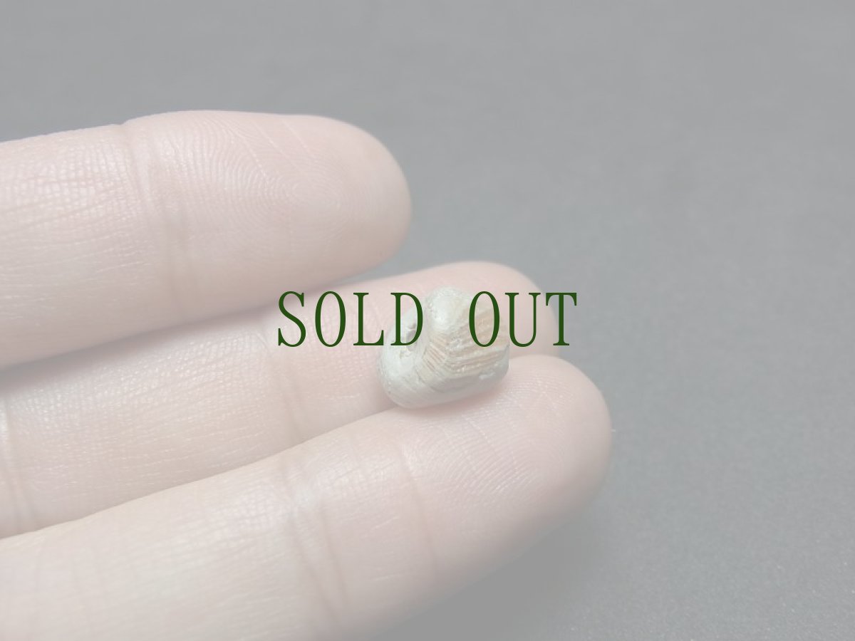 画像5: 古代ビーズ（チベット・ヒマラヤ）　　紀元前（スレマニ・瑪瑙） (5)