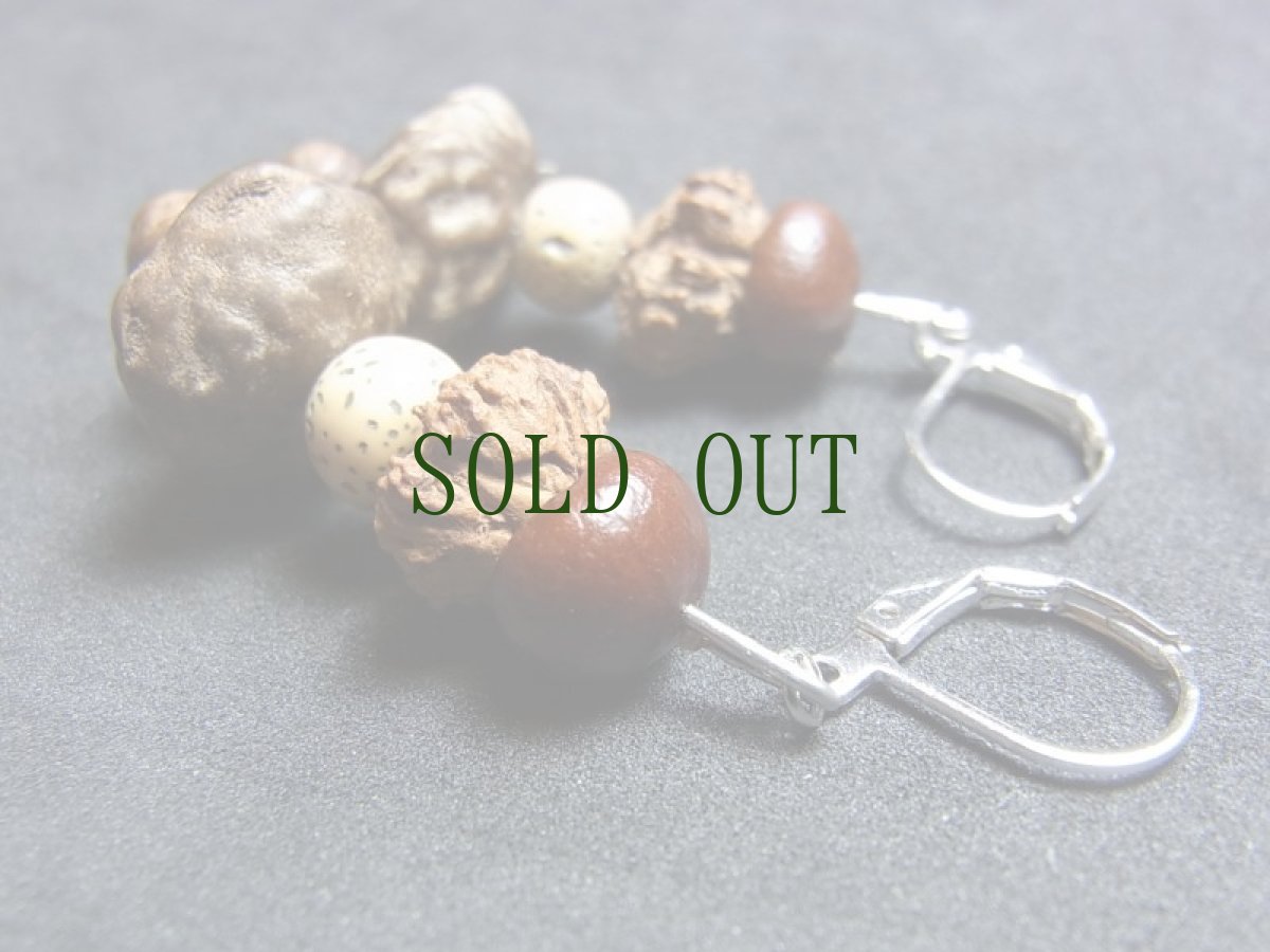 画像6: 希少菩提樹五種のピアス　（蓮華・鬼顔・星月・小鳳眼・紫金鉢） (6)