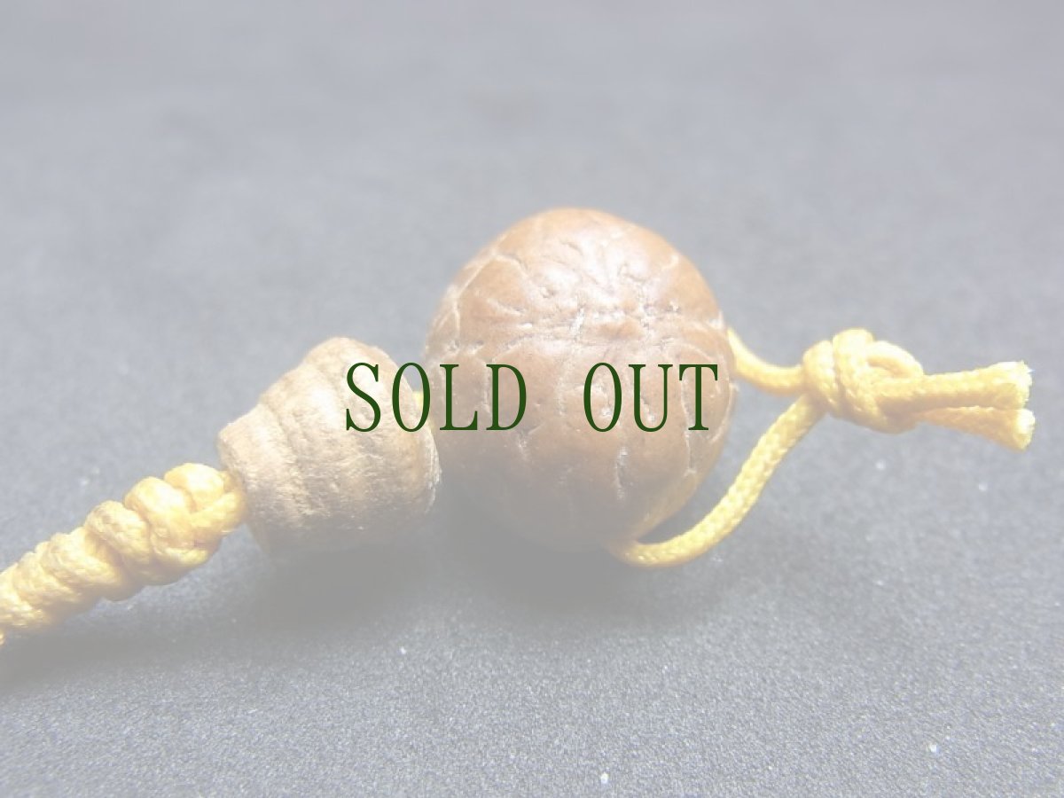 画像4: 鳳眼菩提樹の親玉と小鳳眼菩提樹のボサ玉 (4)