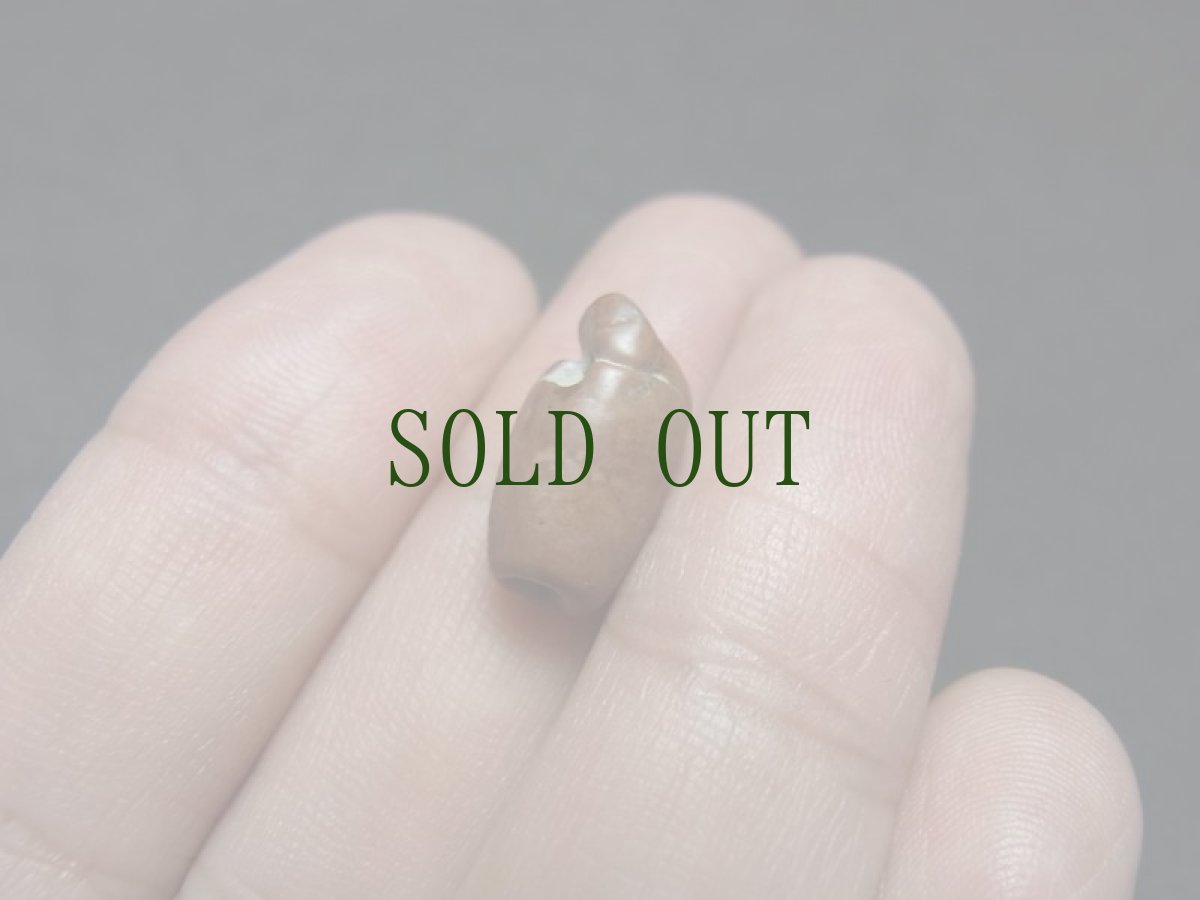 画像8: 古代石製ビーズ（ペルシア・インダス・チベット）　辰砂　紀元前（垂玉・管玉） (8)