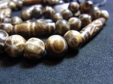 画像5: ミゾラムのパムテックビーズの一連ネックレス（Old Puntek beads Mizzoram Burma） (5)