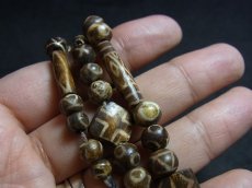 画像8: ミゾラムのパムテックビーズの一連ネックレス（Old Puntek beads Mizzoram Burma） (8)