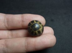 画像6: ミゾラムのパムテックビーズ（プンテック・pumtek ）Old Puntek bead Mizzoram Burma (6)