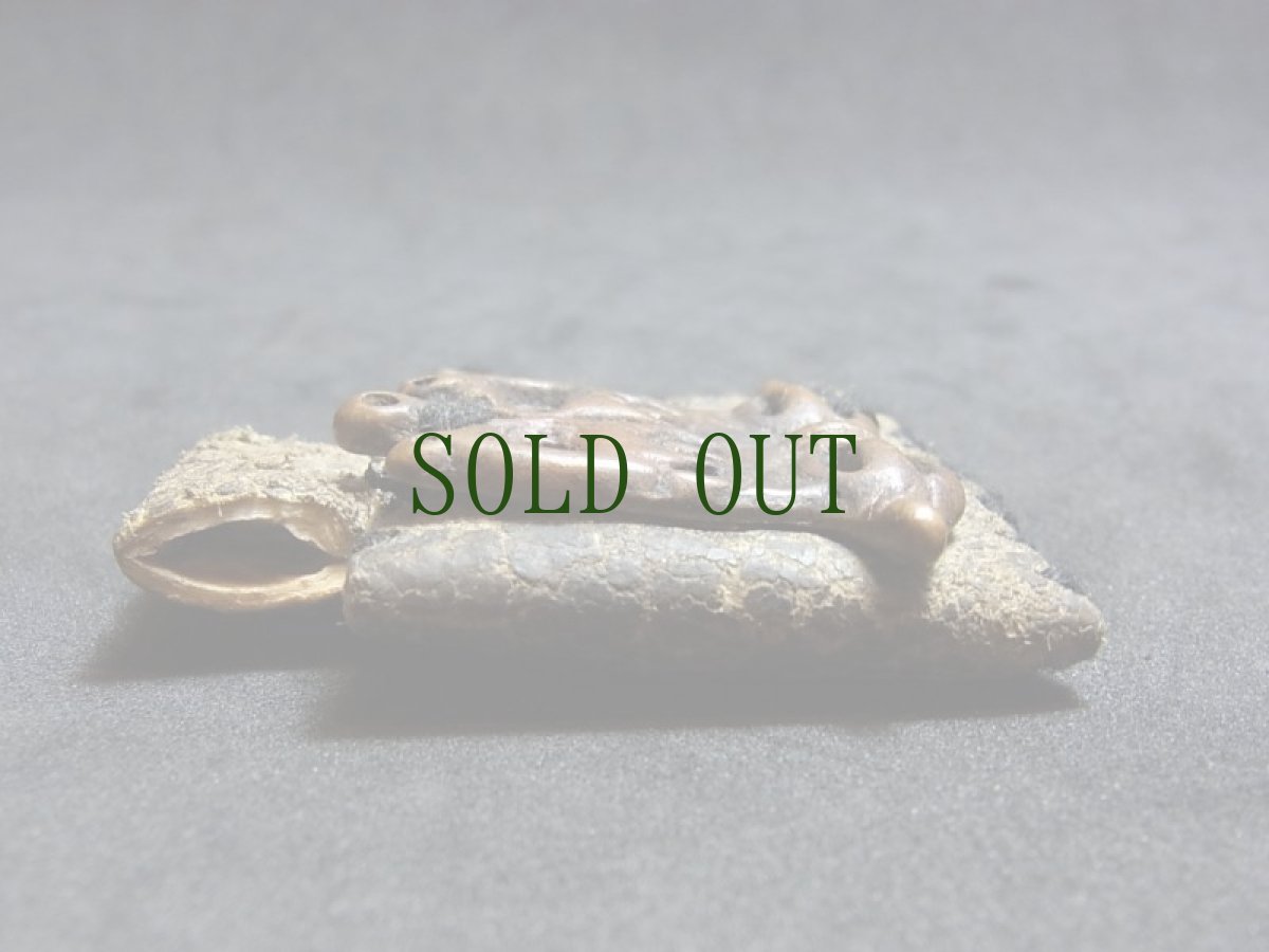 画像5: チベットの護符・双鹿とドルジェのトクチャ と革製ガウ　 (5)