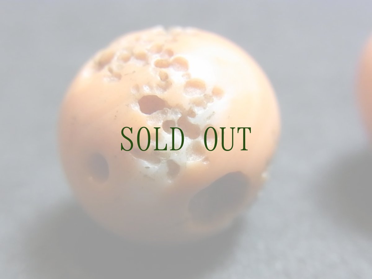 画像6: Tibetan old coral pair (山さんご・交易珊瑚)　一対　アンティーク・コーラル　 (6)