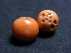 画像1: Tibetan old coral pair (山さんご・交易珊瑚)　一対　アンティーク・コーラル　 (1)