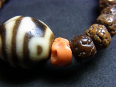 画像9: ジービーズ(dzi with tiger tooth and Lotus motif) 虎牙蓮花天珠 と山珊瑚（コーラル）、金剛菩提樹（ルドラクシャ）のブレスレット (9)