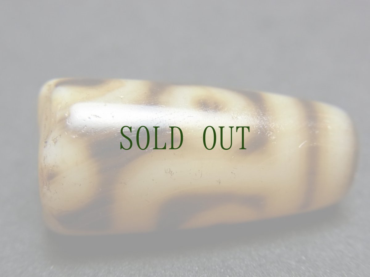 画像8: ジービーズ　9アイ( dzi mig gu pa )　チベット九眼天珠　 (8)