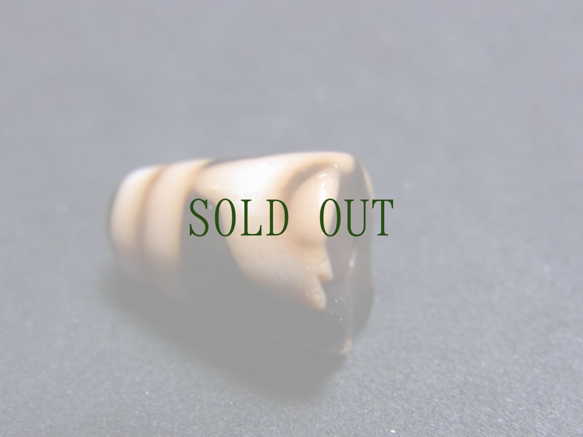 画像4: ジービーズ　５アイ（Dzi mig ga pa）　特殊五眼天珠 (4)