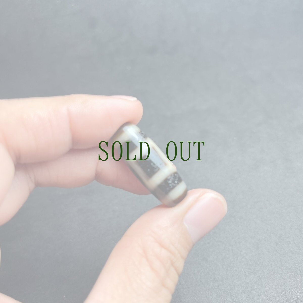 画像9: ジービーズ(サコナゴ・dzi sakor namkor)　天地紋　チベット天珠 (9)