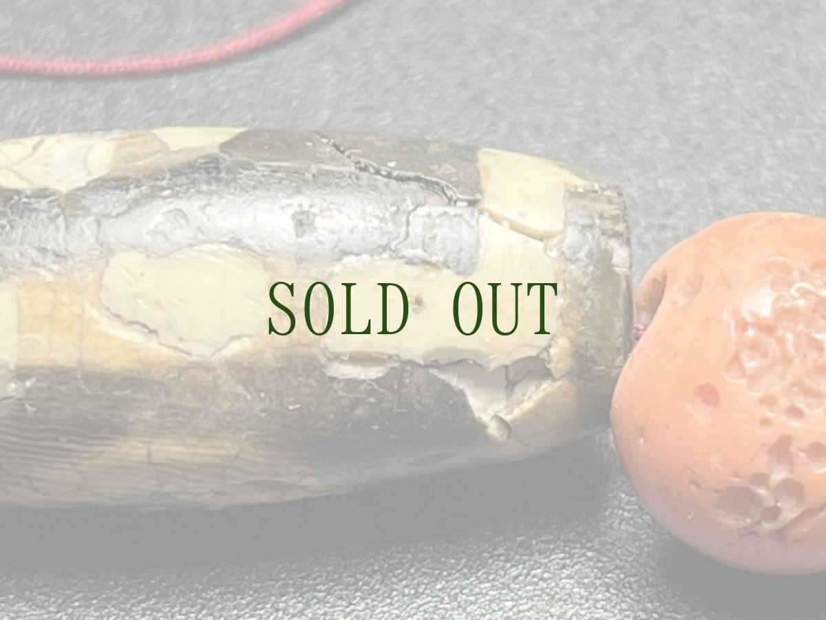 画像8: 古代ジービーズ（ancient dzi mig ni pa with red spot ）特殊二眼老天珠・火供・朱砂　 (8)