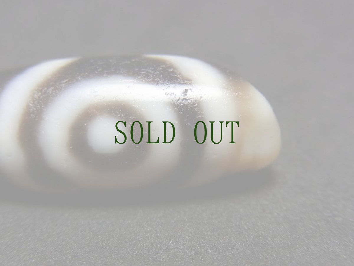 画像5: ジービーズ　特殊２アイ( dzi mig ni pa  ）チベット・特殊二眼・星辰天珠 (5)