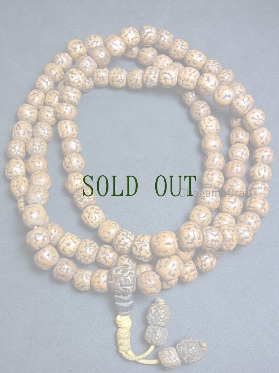 画像2: 金剛菩提樹のチベット念珠　( Tibetan  Rudraksha  Mala )　108珠・10mm　ルドラクシャ (2)