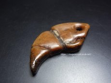 画像2: カパラの根付(tibetan old kapala )　チベット密教法具・牙型 (2)